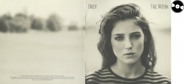 Birdy   fire within 01