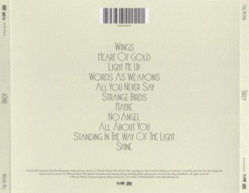 Birdy   fire within 11